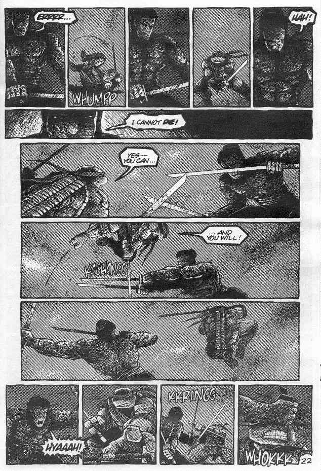 Teenage Mutant Ninja Turtles (1984) Issue #21 #21 - English 24