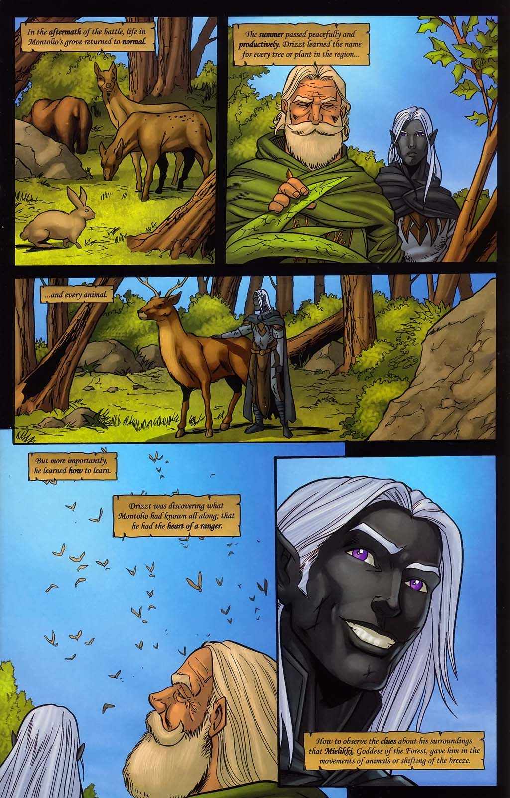 Read online Forgotten Realms: Sojourn comic -  Issue #3 - 15