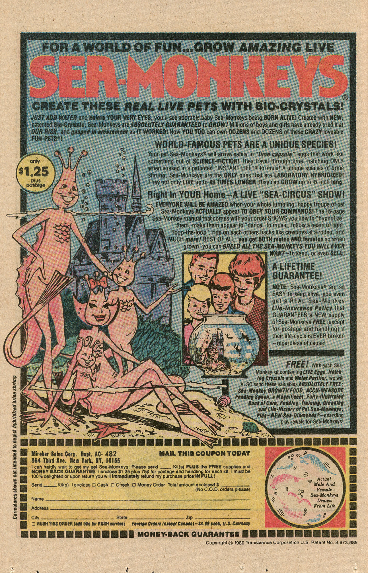 Read online Archie's Pals 'N' Gals (1952) comic -  Issue #158 - 12