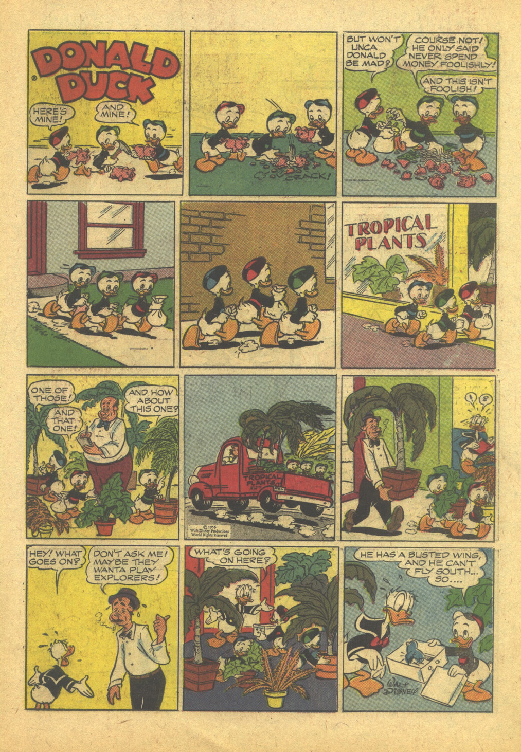 Read online Walt Disney's Donald Duck (1952) comic -  Issue #101 - 19