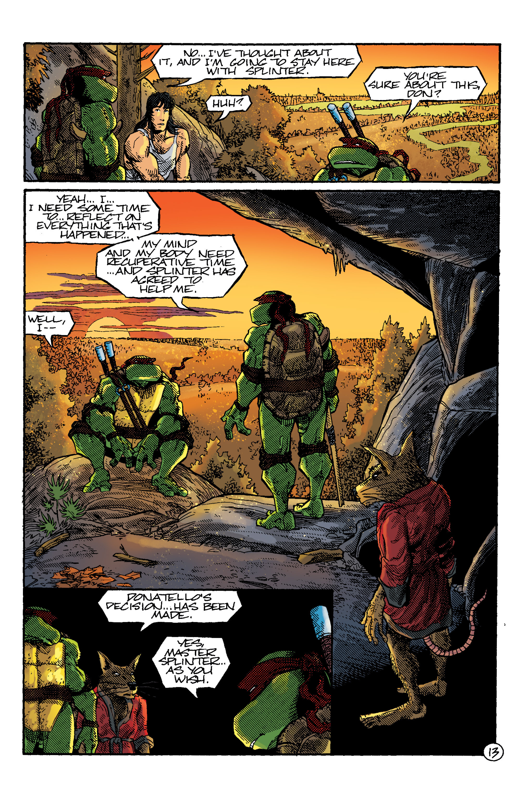 Read online Teenage Mutant Ninja Turtles Color Classics (2015) comic -  Issue #15 - 15