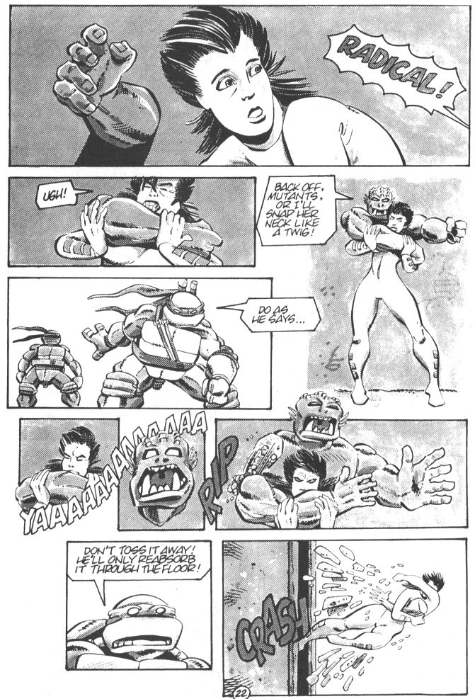 Tales of the Teenage Mutant Ninja Turtles issue 5 - Page 24