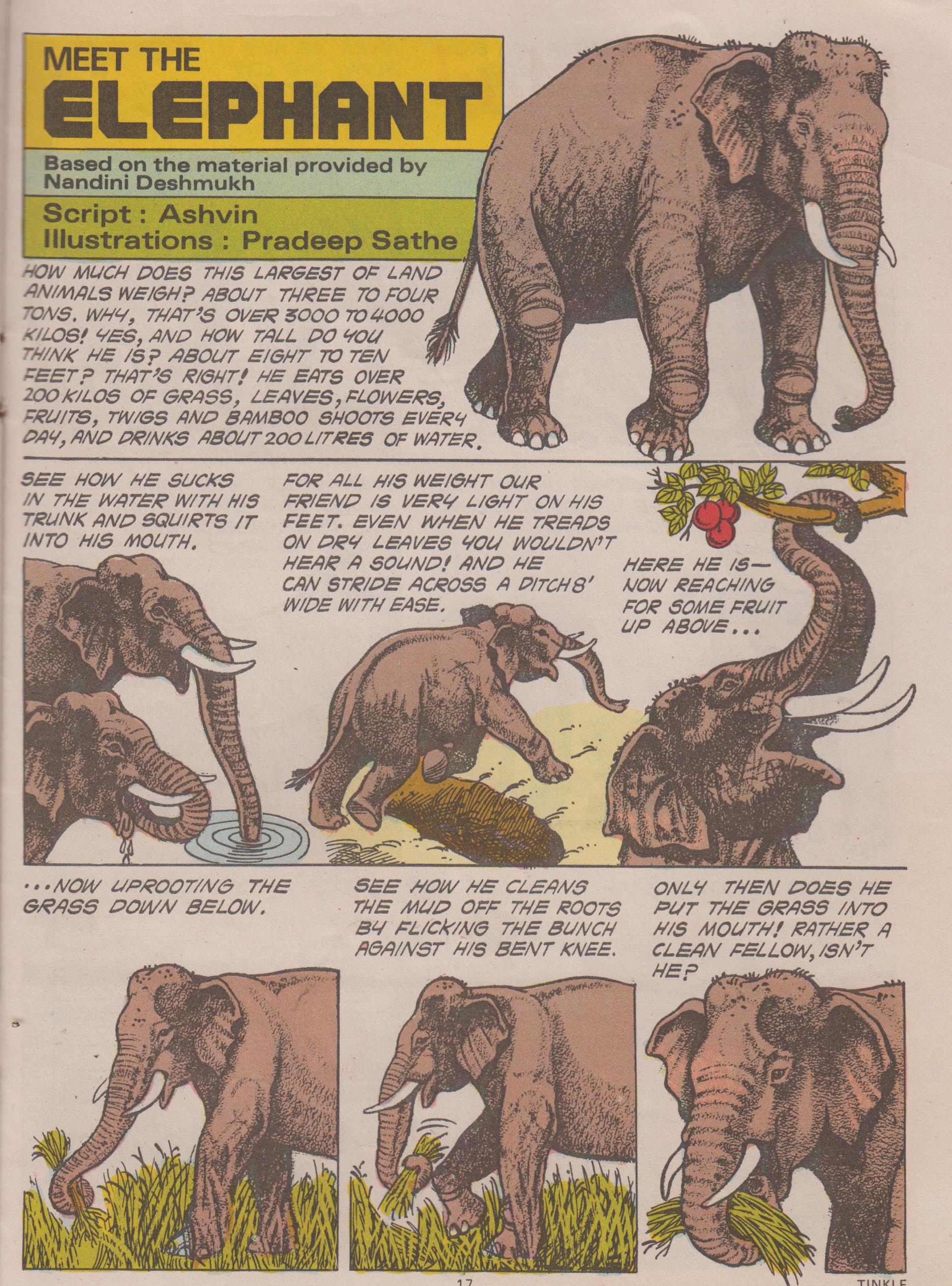 Read online Tinkle comic -  Issue #6 - 19