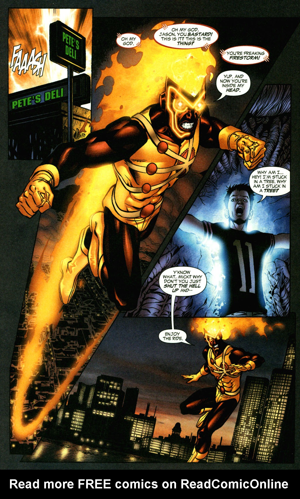 Read online Firestorm (2004) comic -  Issue #6 - 12