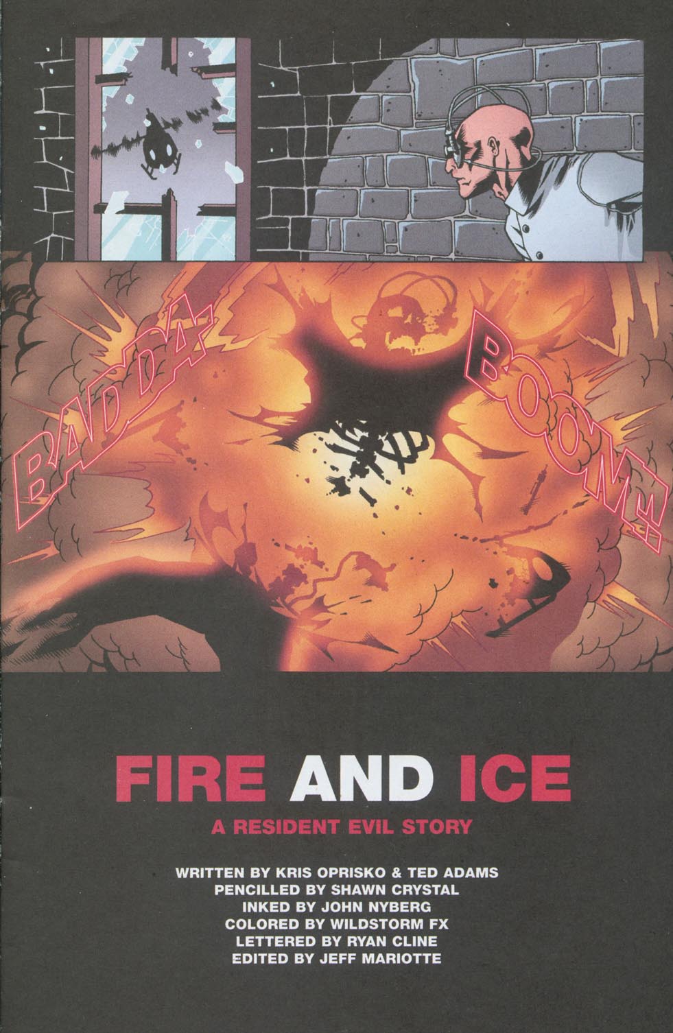 Read online Resident Evil: Fire and Ice comic -  Issue #4 - 4