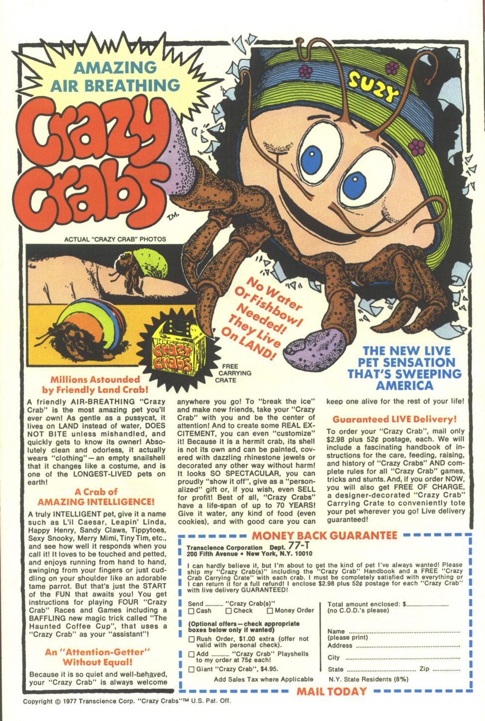 Read online Walt Disney Daisy and Donald comic -  Issue #31 - 36