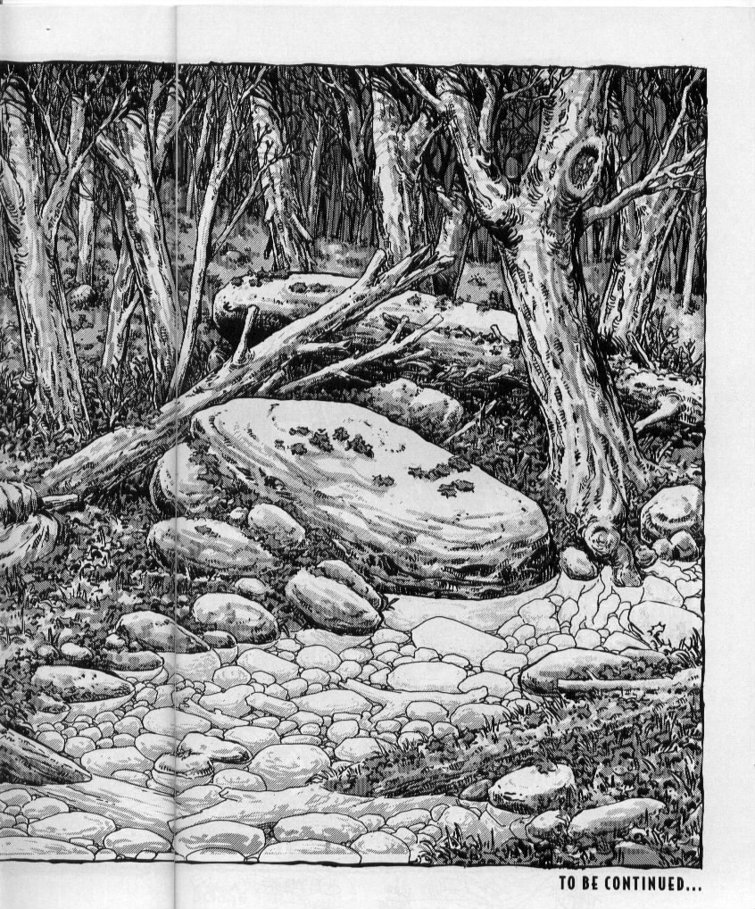 Read online Teenage Mutant Ninja Turtles (1984) comic -  Issue #50 - 50