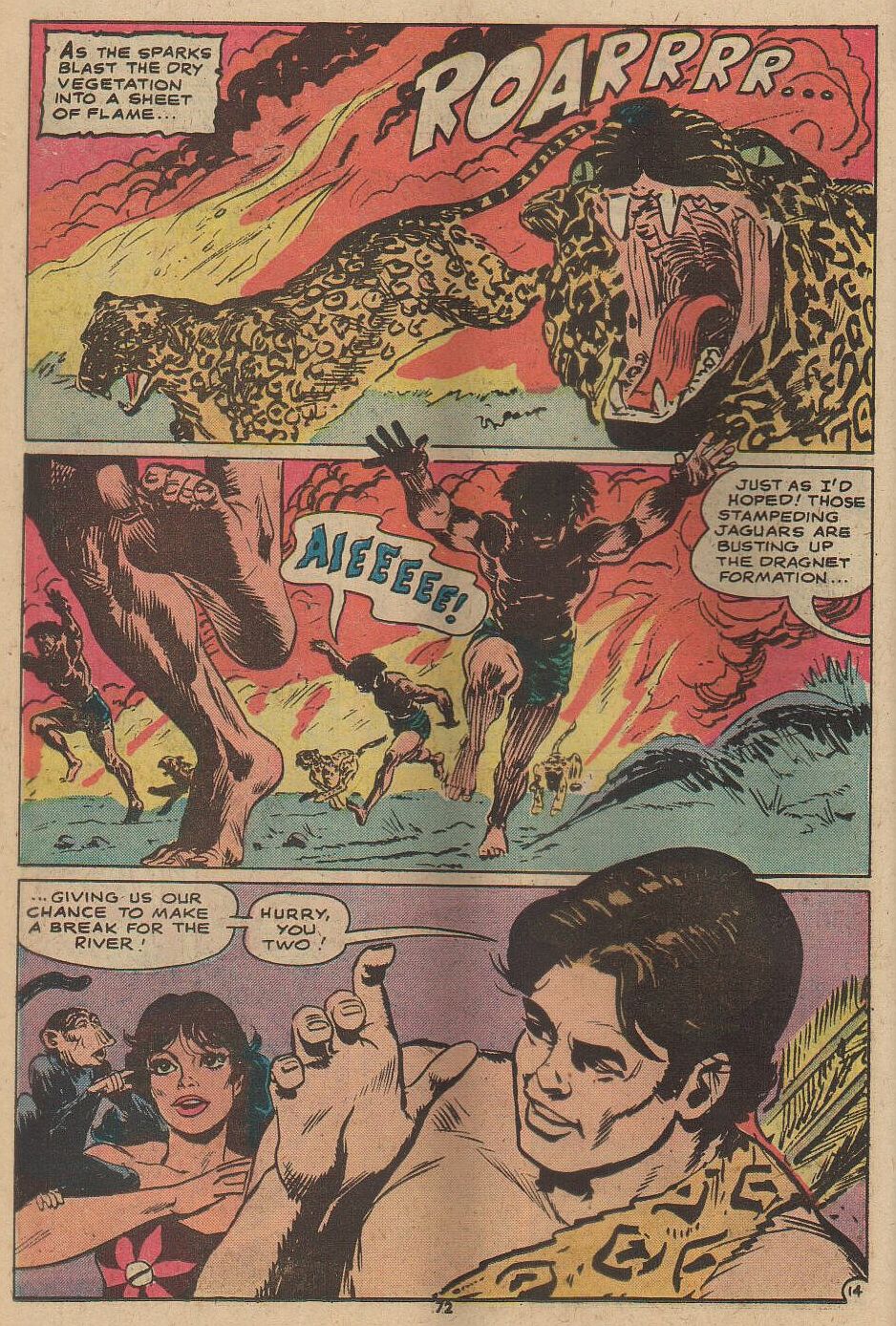 Read online Tarzan (1972) comic -  Issue #230 - 62