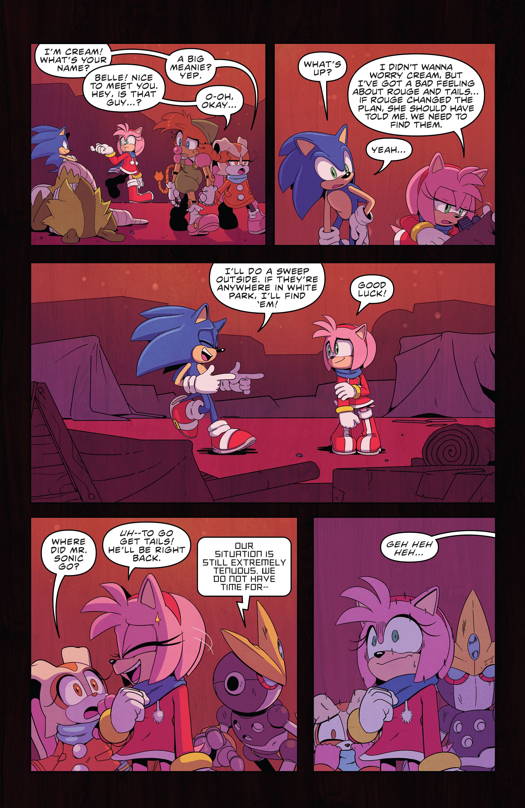 Read online Sonic the Hedgehog (2018) comic -  Issue #35 - 13