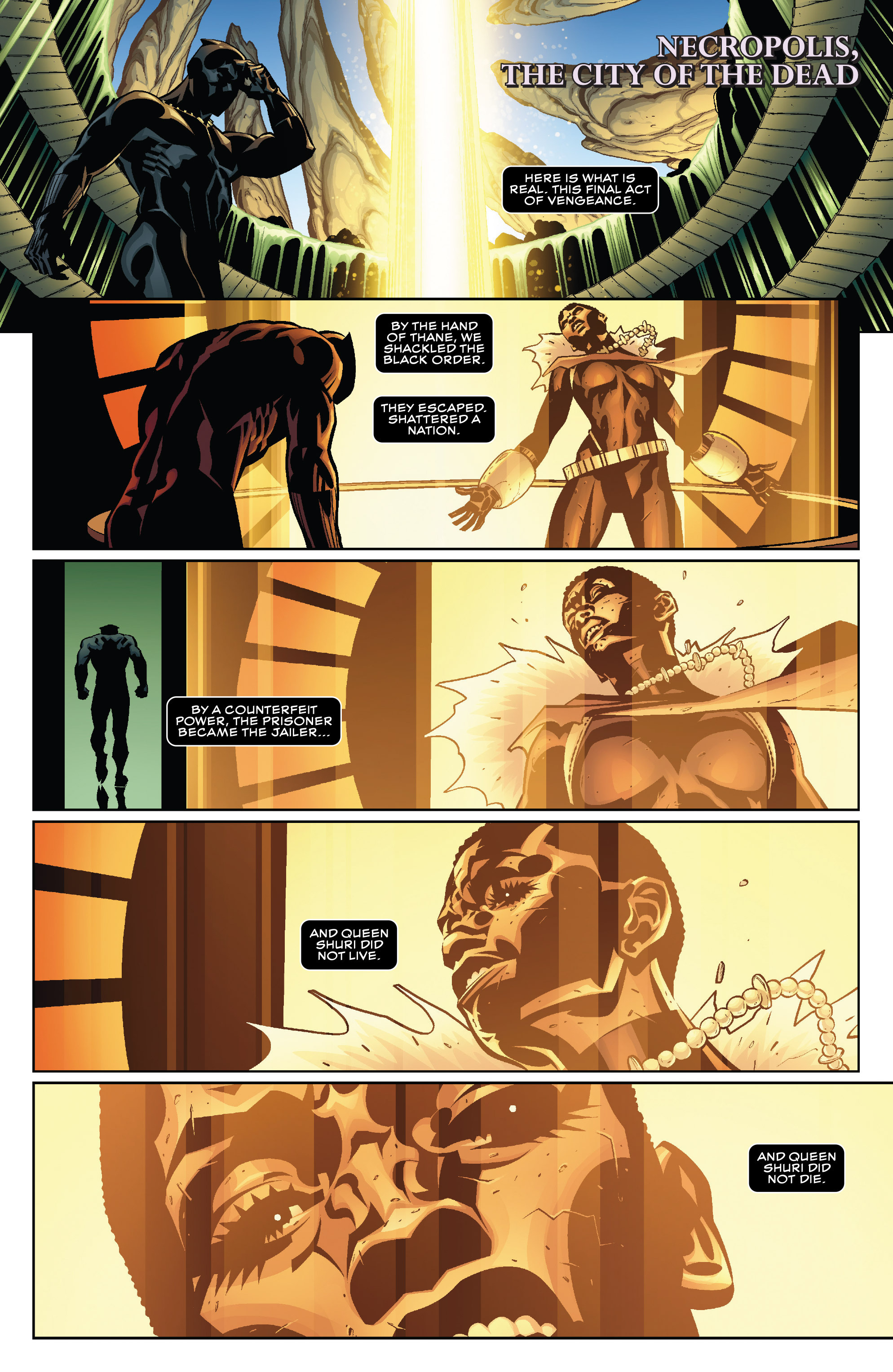 Read online Black Panther (2016) comic -  Issue #2 - 23