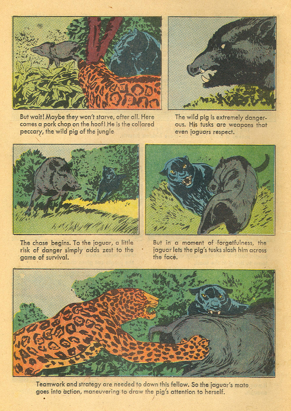 Read online Four Color Comics comic -  Issue #1136 - 22