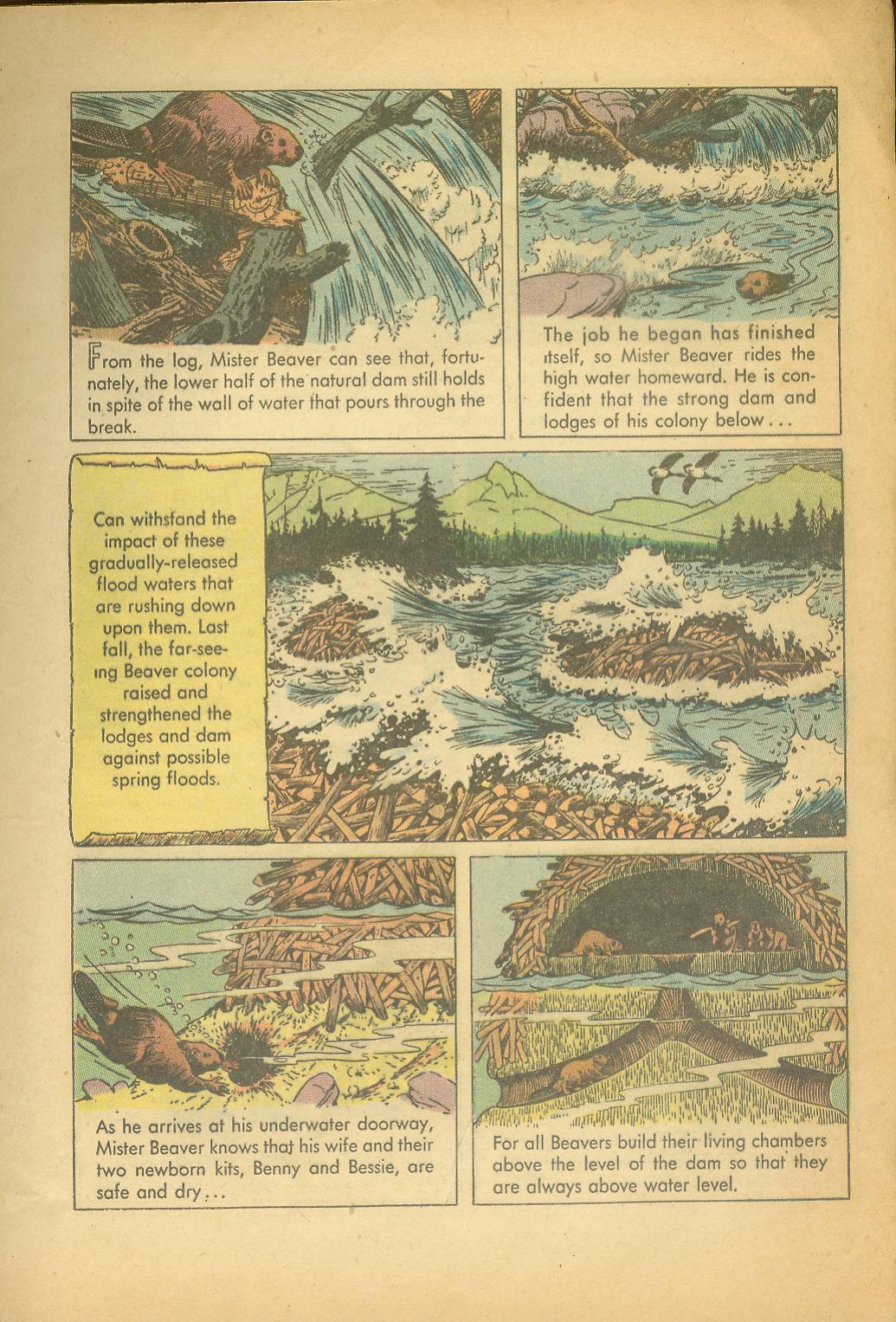 Read online Four Color Comics comic -  Issue #625 - 9