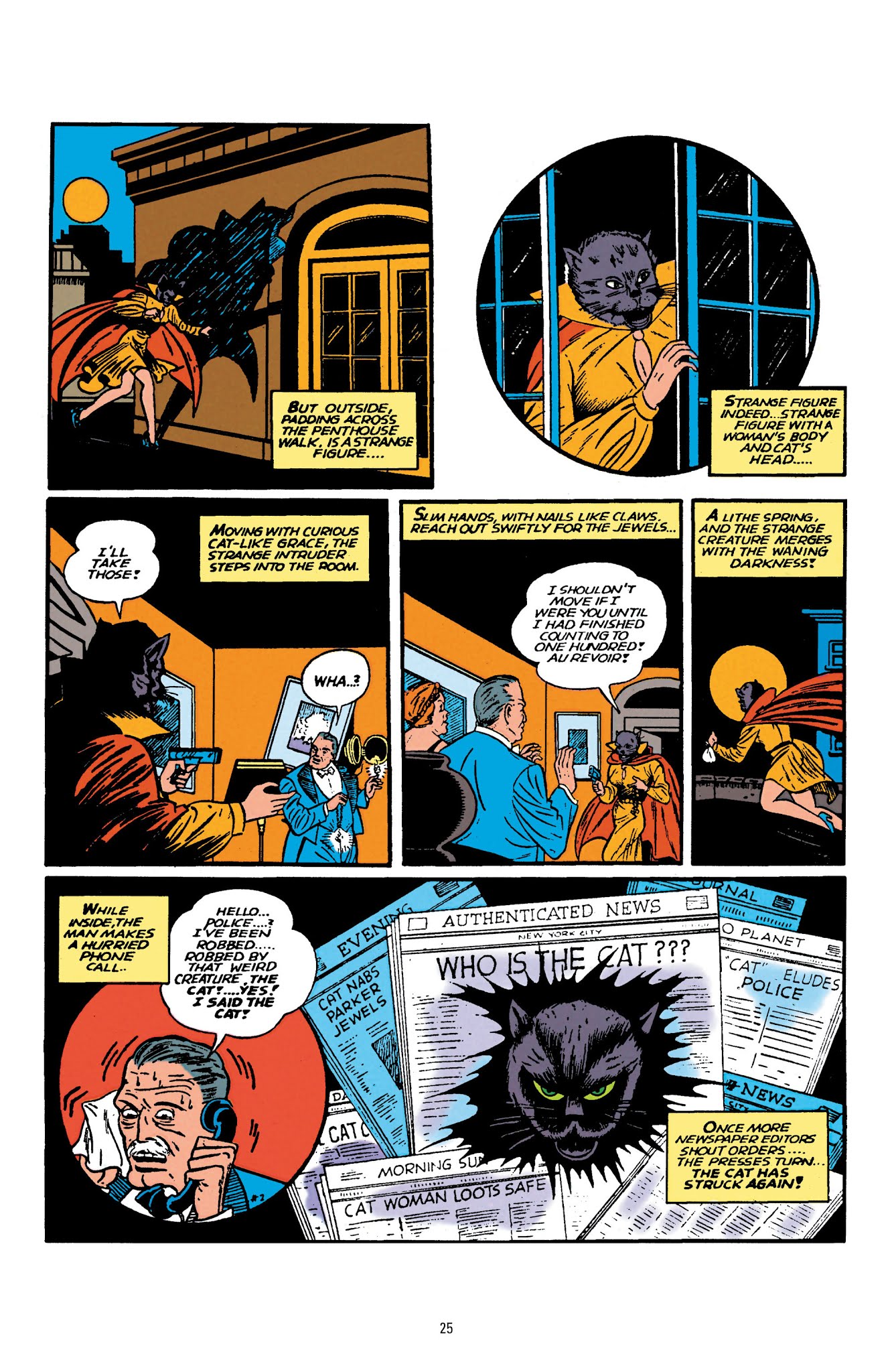 Read online Catwoman: A Celebration of 75 Years comic -  Issue # TPB (Part 1) - 27