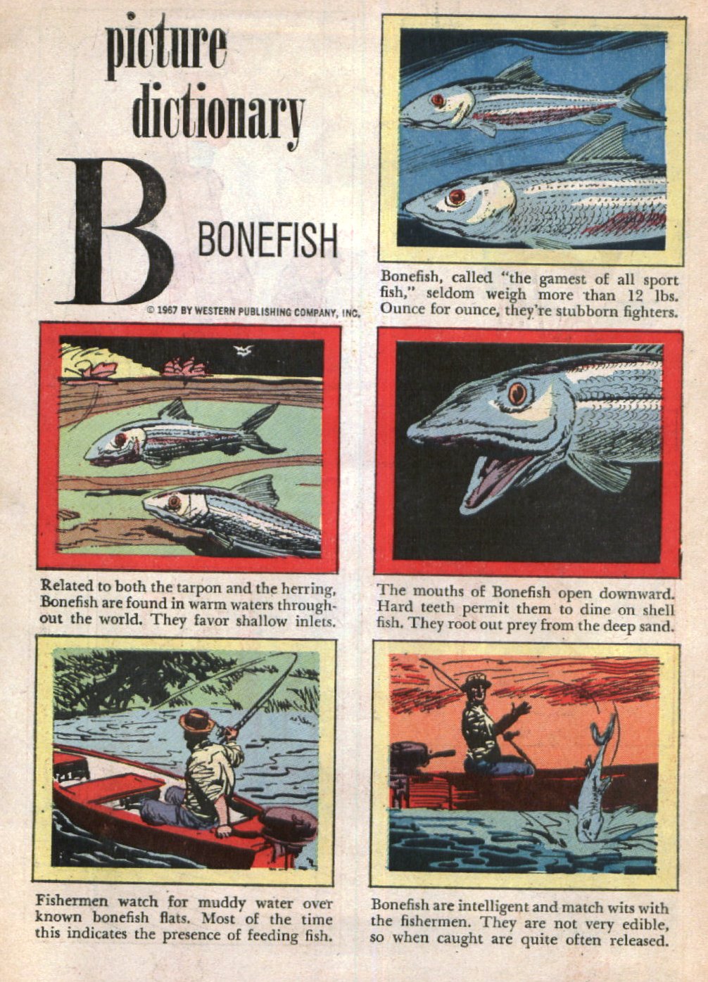 Read online Ripley's Believe it or Not! (1965) comic -  Issue #4 - 34