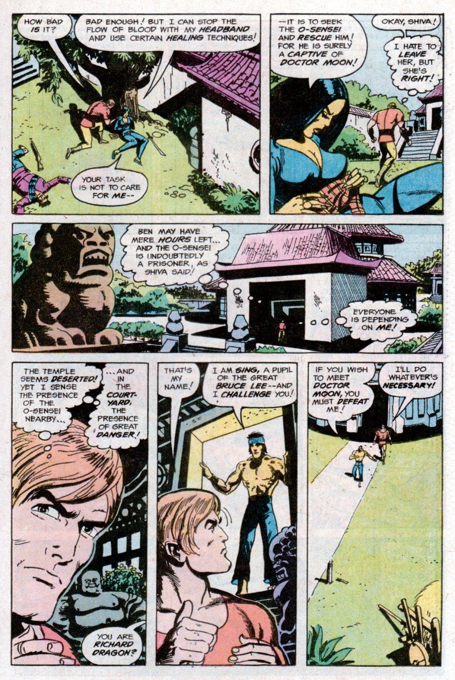 Read online Richard Dragon, Kung-Fu Fighter comic -  Issue #14 - 12