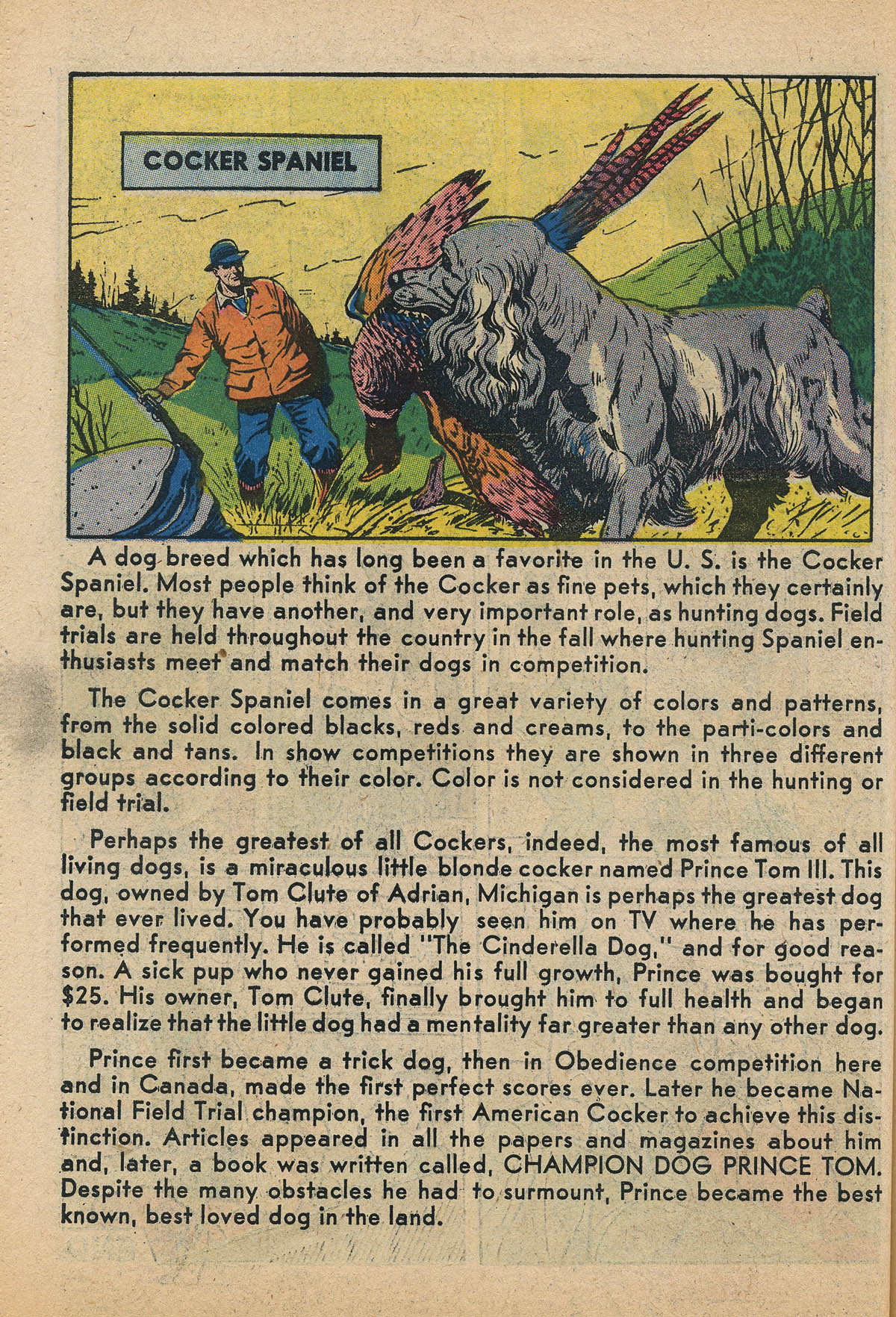 Read online The Adventures of Little Archie comic -  Issue #14 - 42