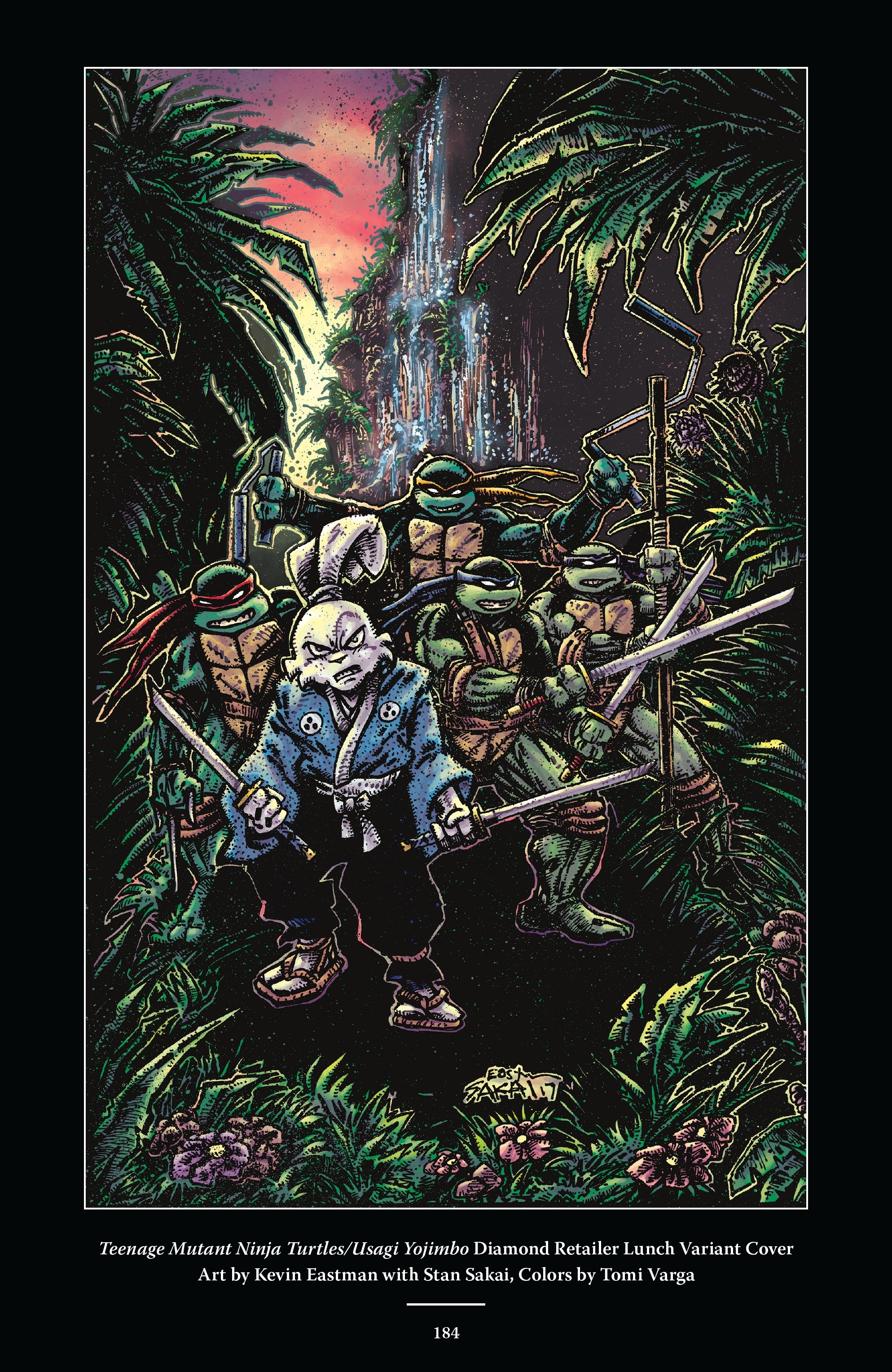 Read online Usagi Yojimbo/Teenage Mutant Ninja Turtles: The Complete Collection comic -  Issue # TPB (Part 2) - 75