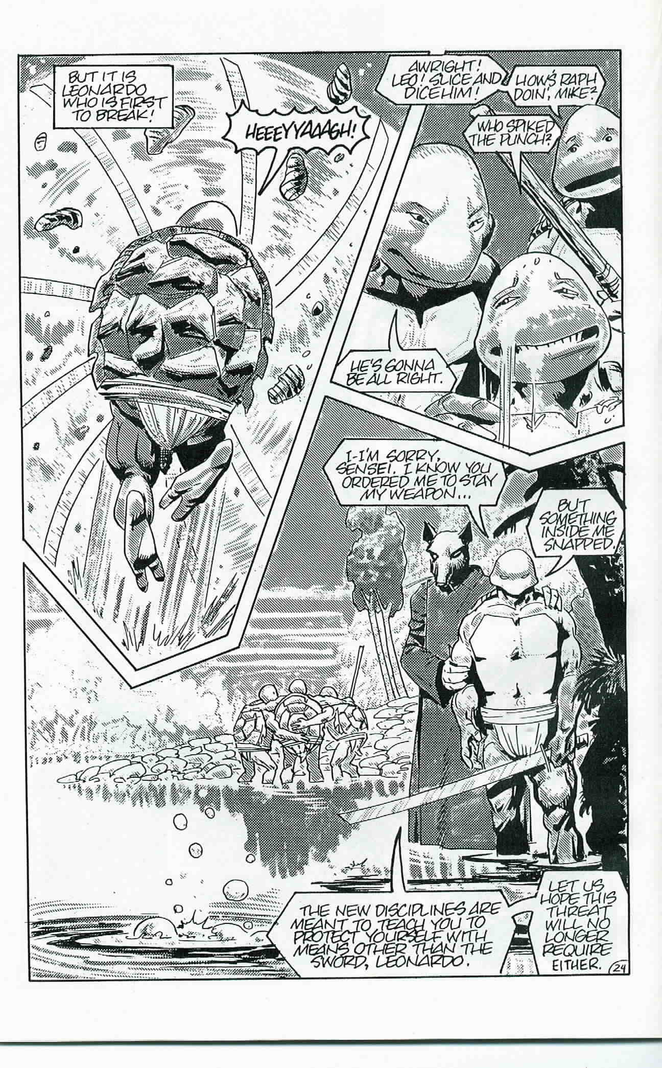 Read online Teenage Mutant Ninja Turtles (1984) comic -  Issue #24 - 25