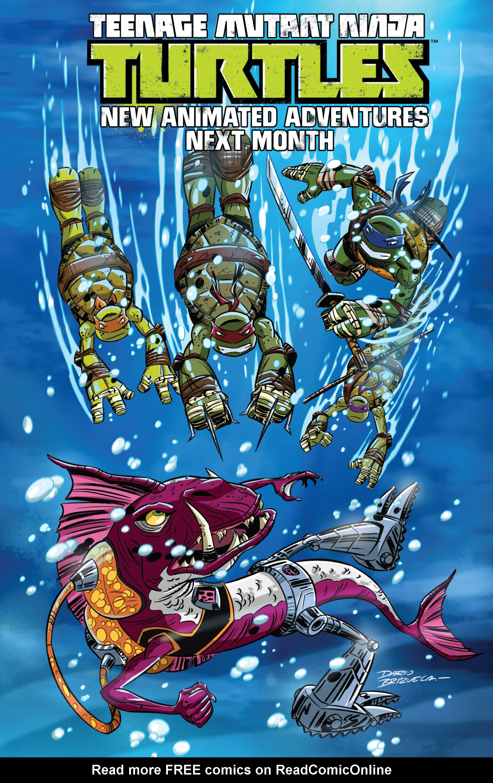 Read online Teenage Mutant Ninja Turtles New Animated Adventures comic -  Issue #4 - 25