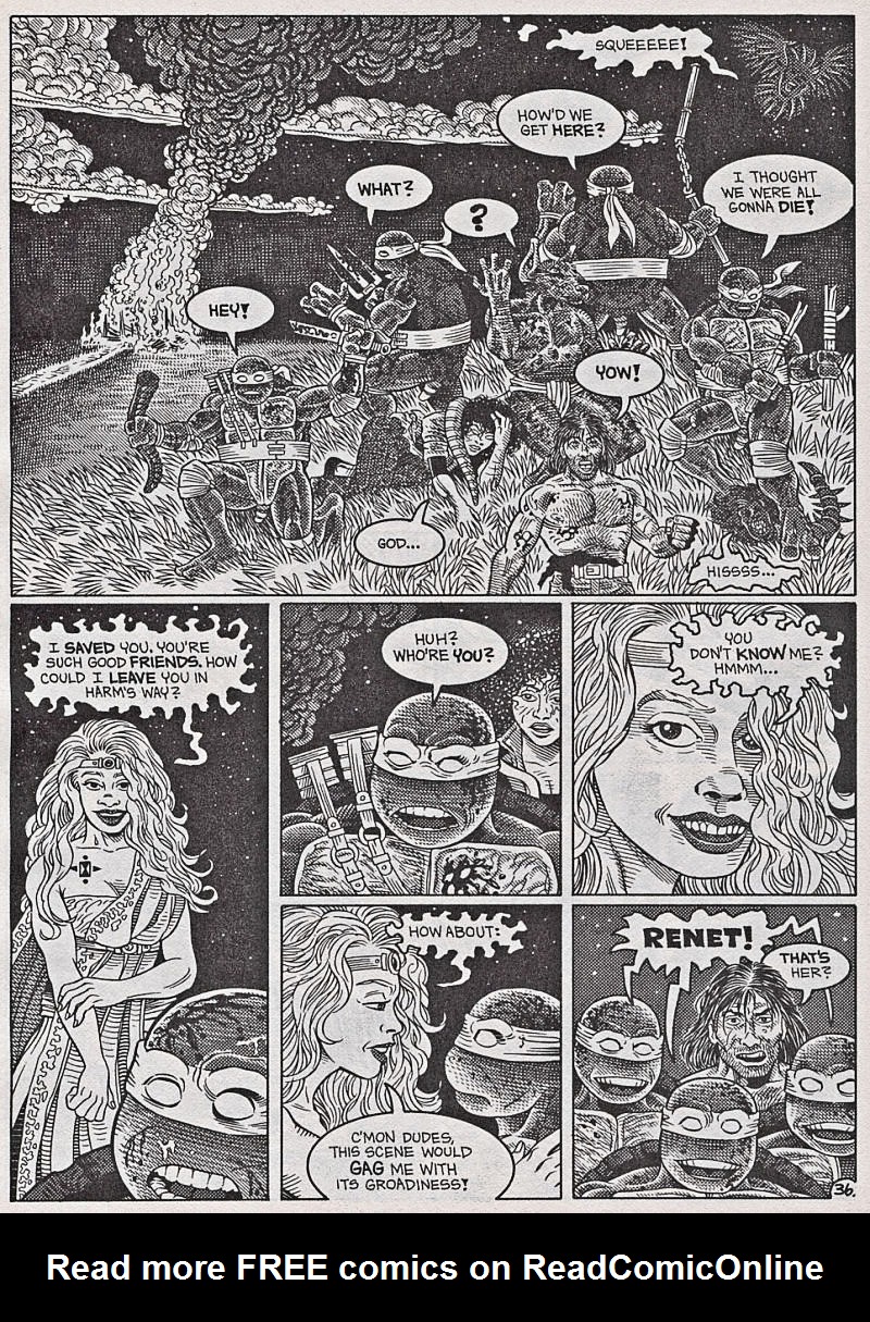Read online Teenage Mutant Ninja Turtles (1984) comic -  Issue #42 - 37