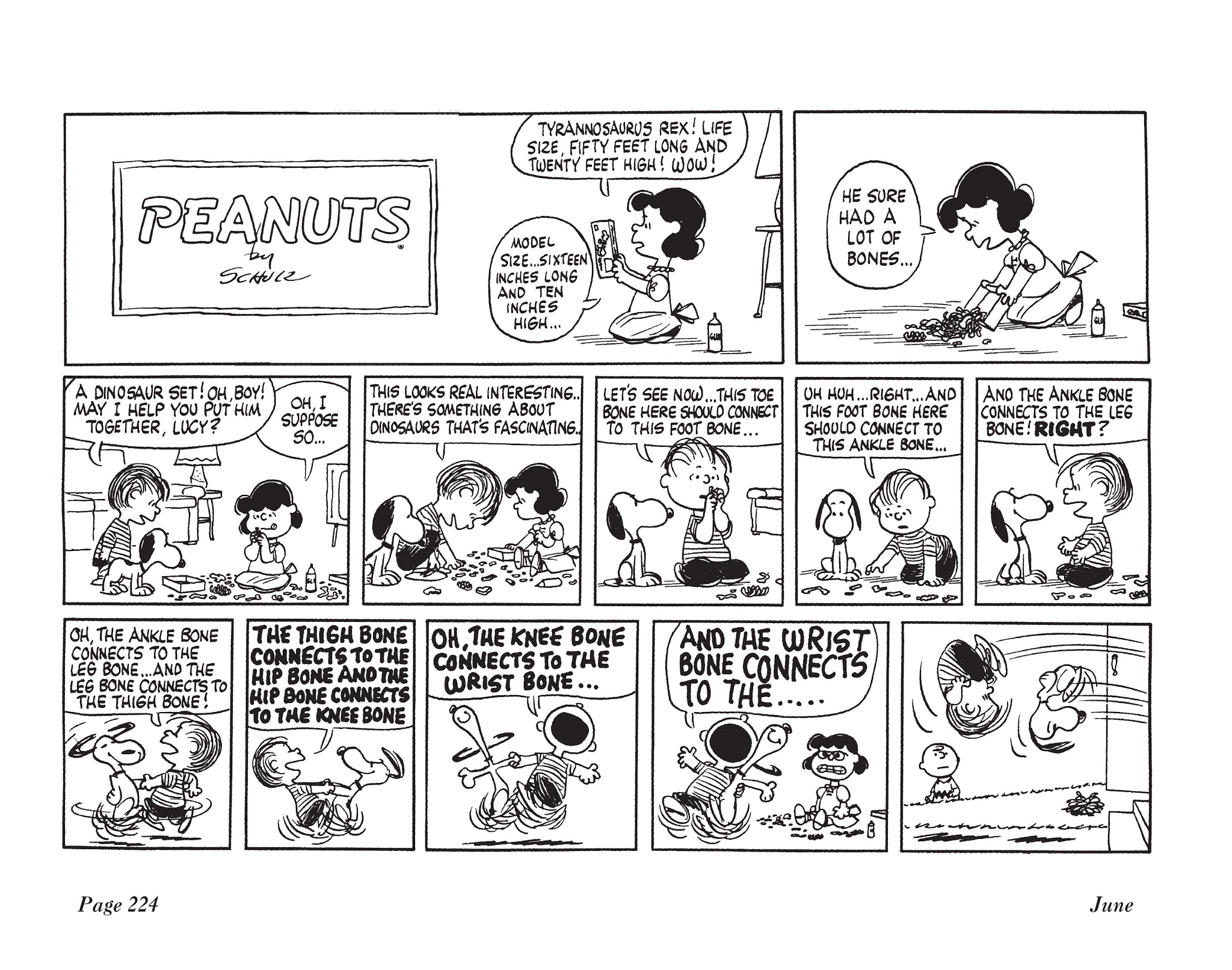 Read online The Complete Peanuts comic -  Issue # TPB 5 - 240