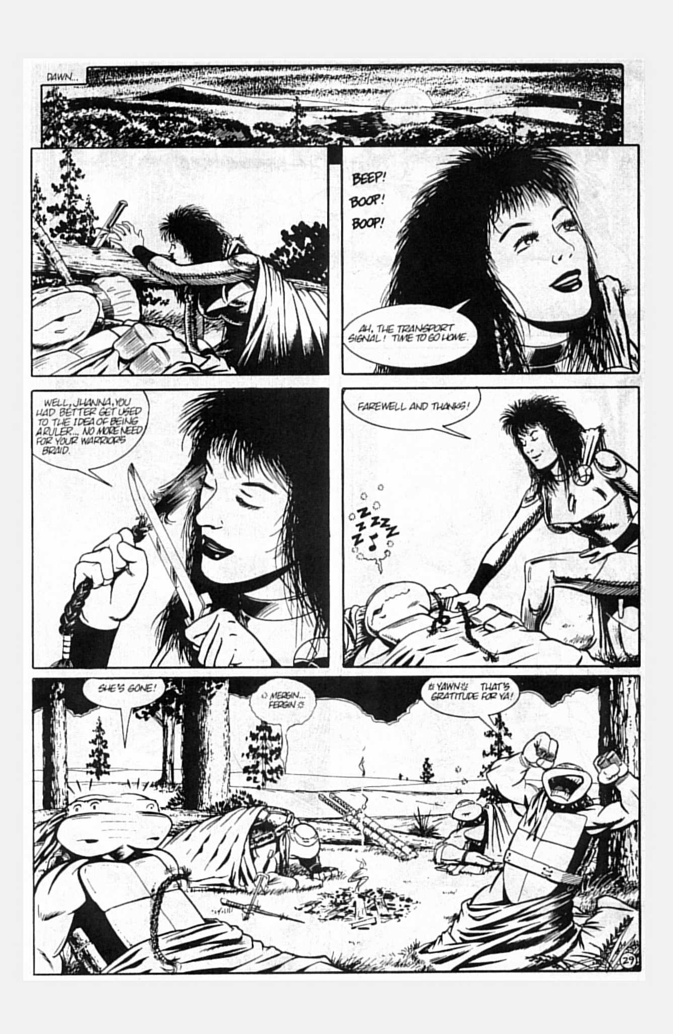 Teenage Mutant Ninja Turtles (1984) Issue #13 #13 - English 35