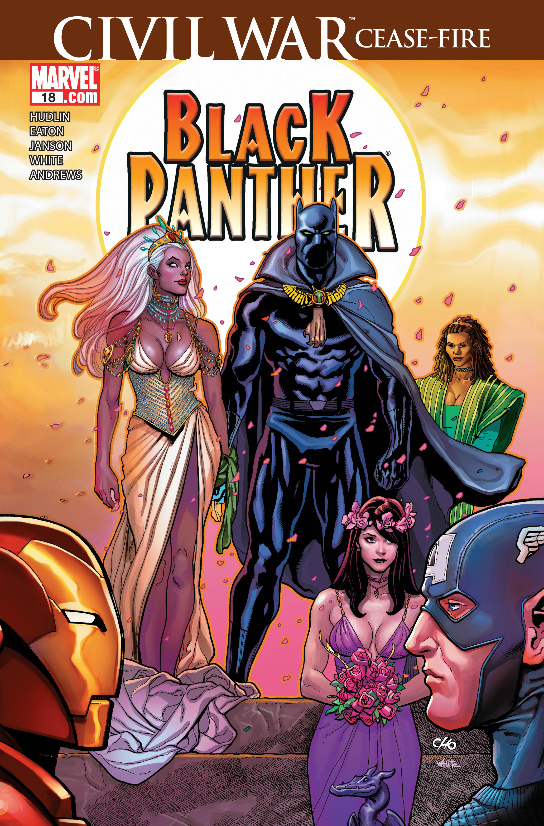 Read online Black Panther: The Bride comic -  Issue # TPB - 101