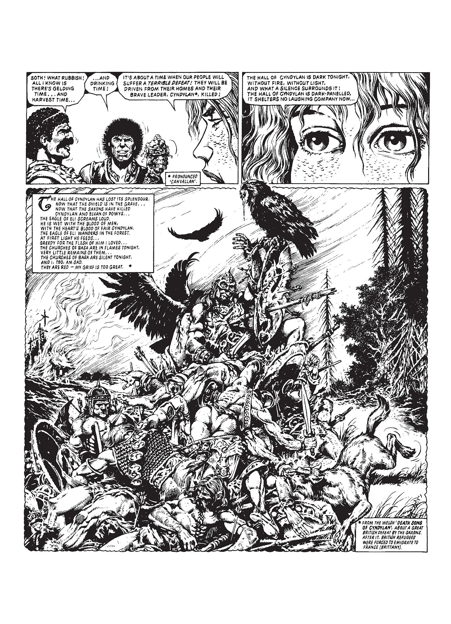 Read online Sláine comic -  Issue # TPB 2 - 25