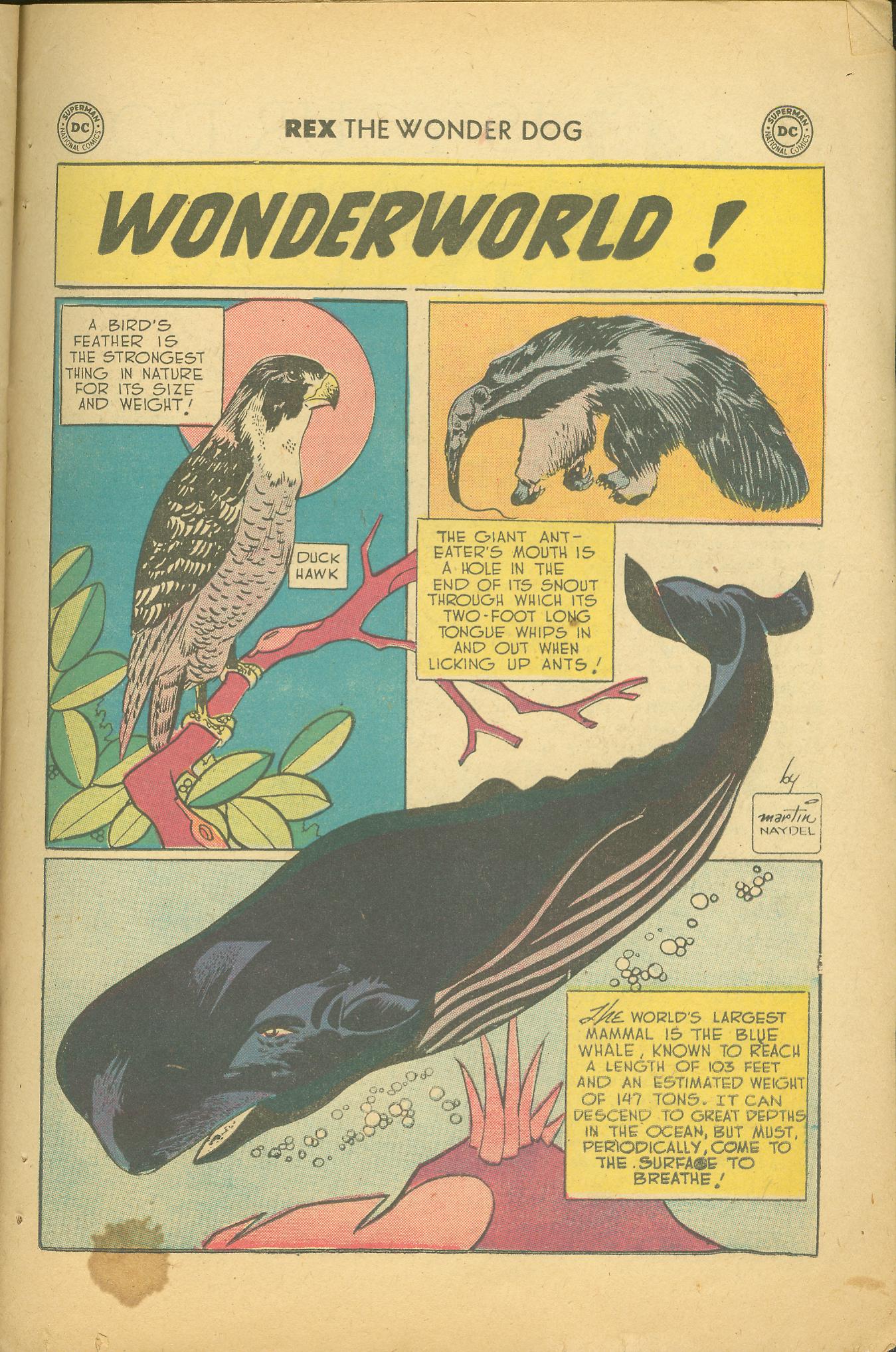 Read online The Adventures of Rex the Wonder Dog comic -  Issue #37 - 23
