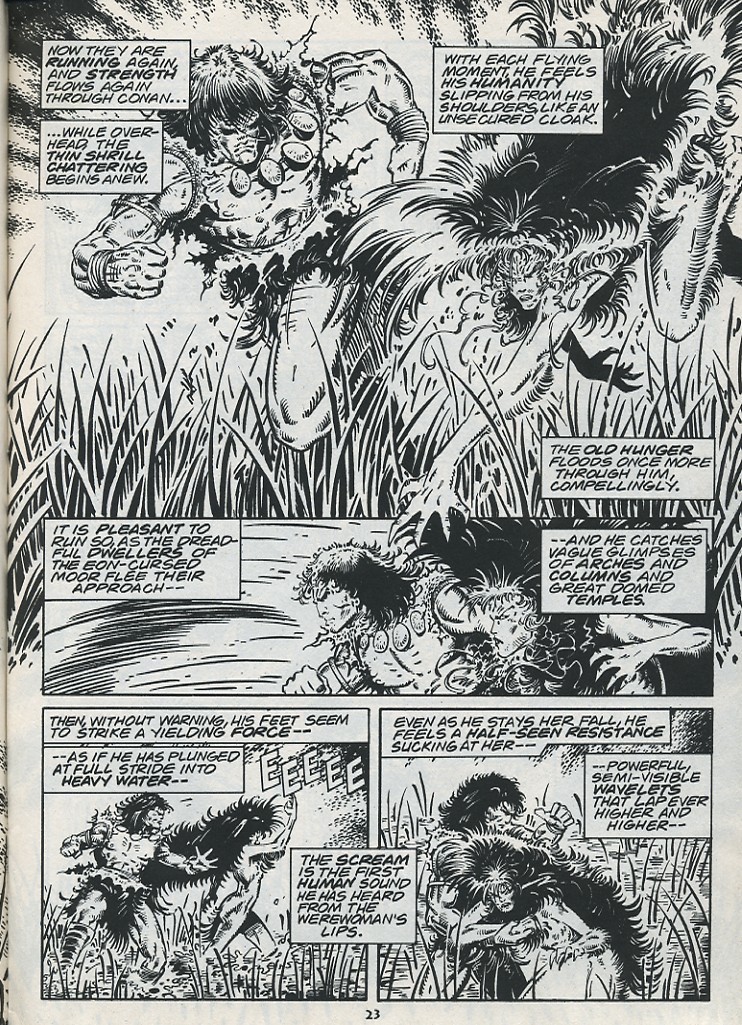 The Savage Sword Of Conan issue 221 - Page 25