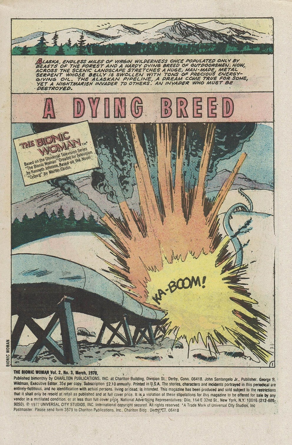 Read online Bionic Woman comic -  Issue #3 - 3