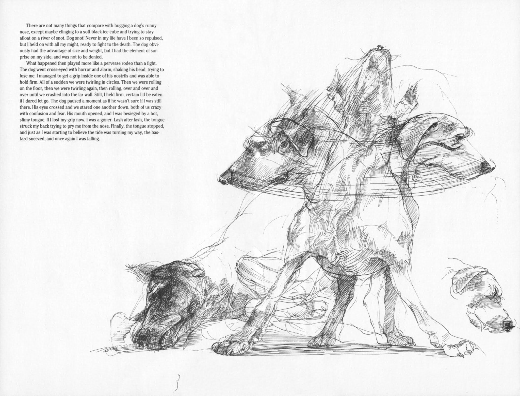 Read online Beautiful Stories For Ugly Children comic -  Issue #27 - 17