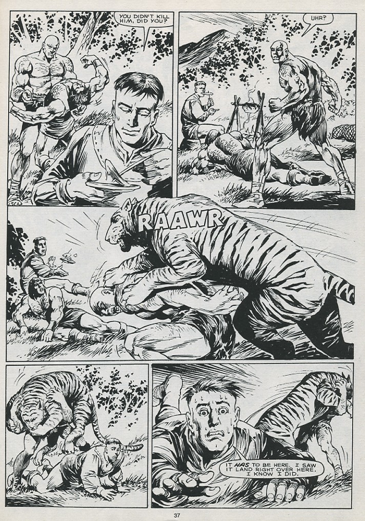 The Savage Sword Of Conan issue 215 - Page 39