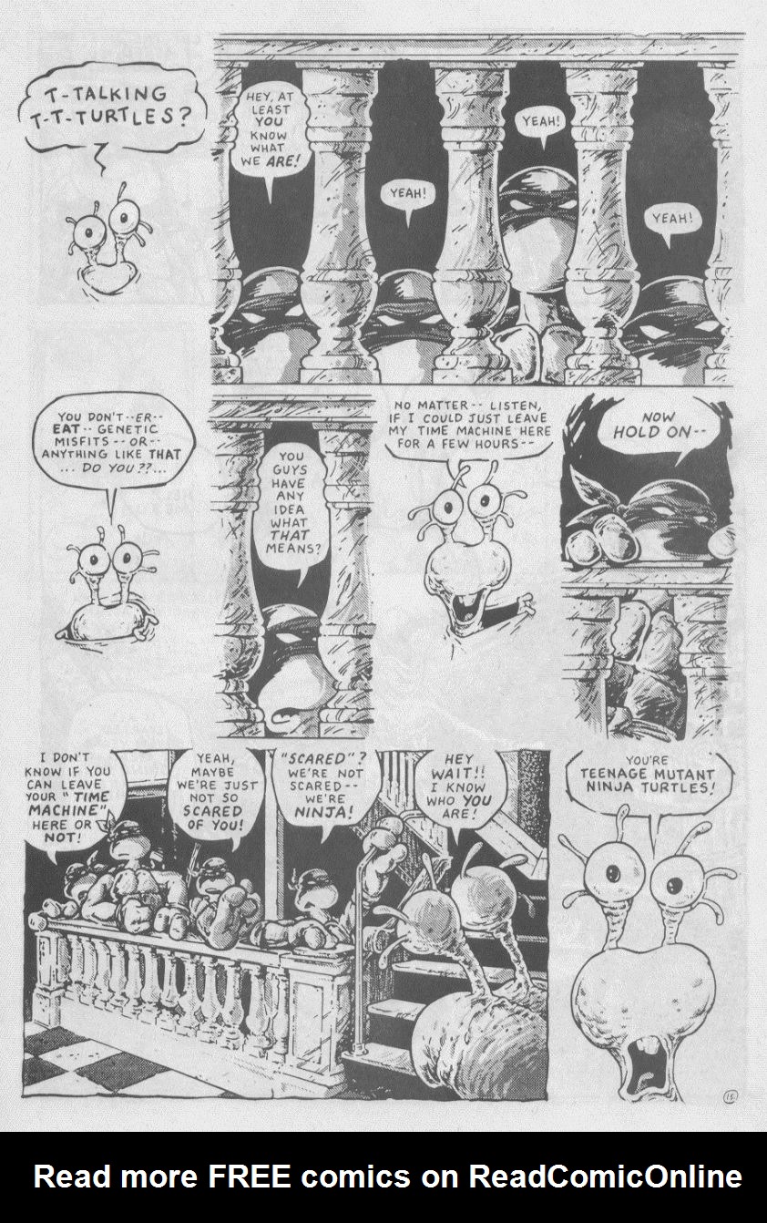 Read online Teenage Mutant Ninja Turtles (1984) comic -  Issue #16 - 18