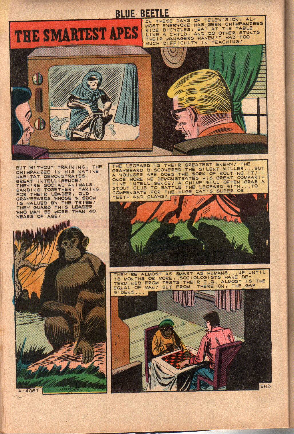 Read online Blue Beetle (1964) comic -  Issue #3 - 16