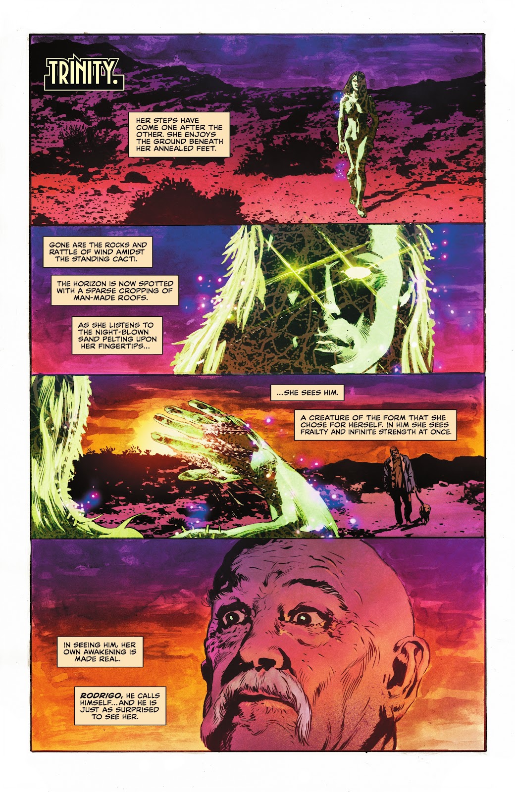The Swamp Thing issue 13 - Page 13
