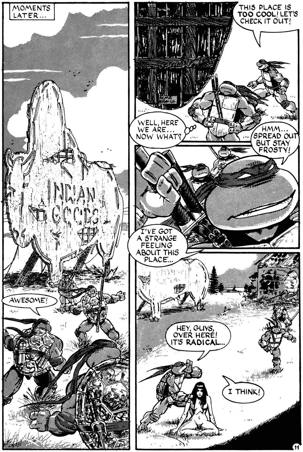 Teenage Mutant Ninja Turtles (1984) Issue #27 #27 - English 11