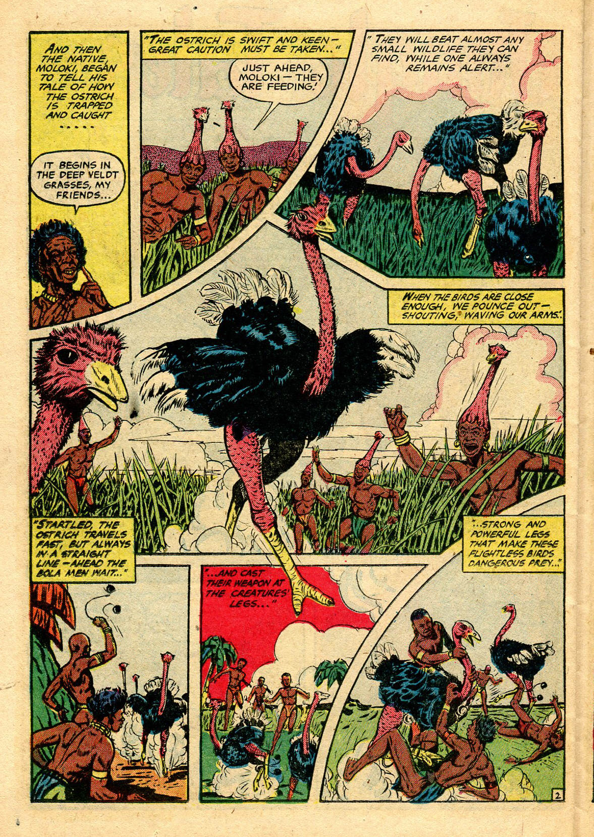 Read online Jungle Comics comic -  Issue #151 - 28