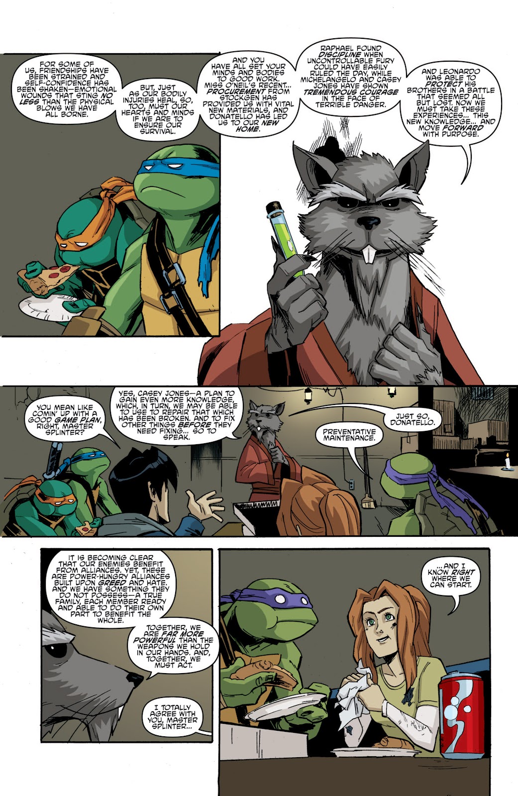 Teenage Mutant Ninja Turtles (2011) issue 17 - Page 11