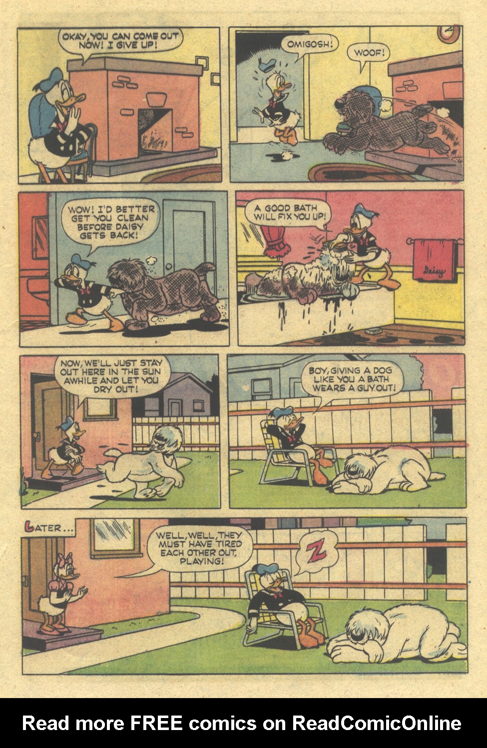 Read online Walt Disney's Donald Duck (1952) comic -  Issue #94 - 17