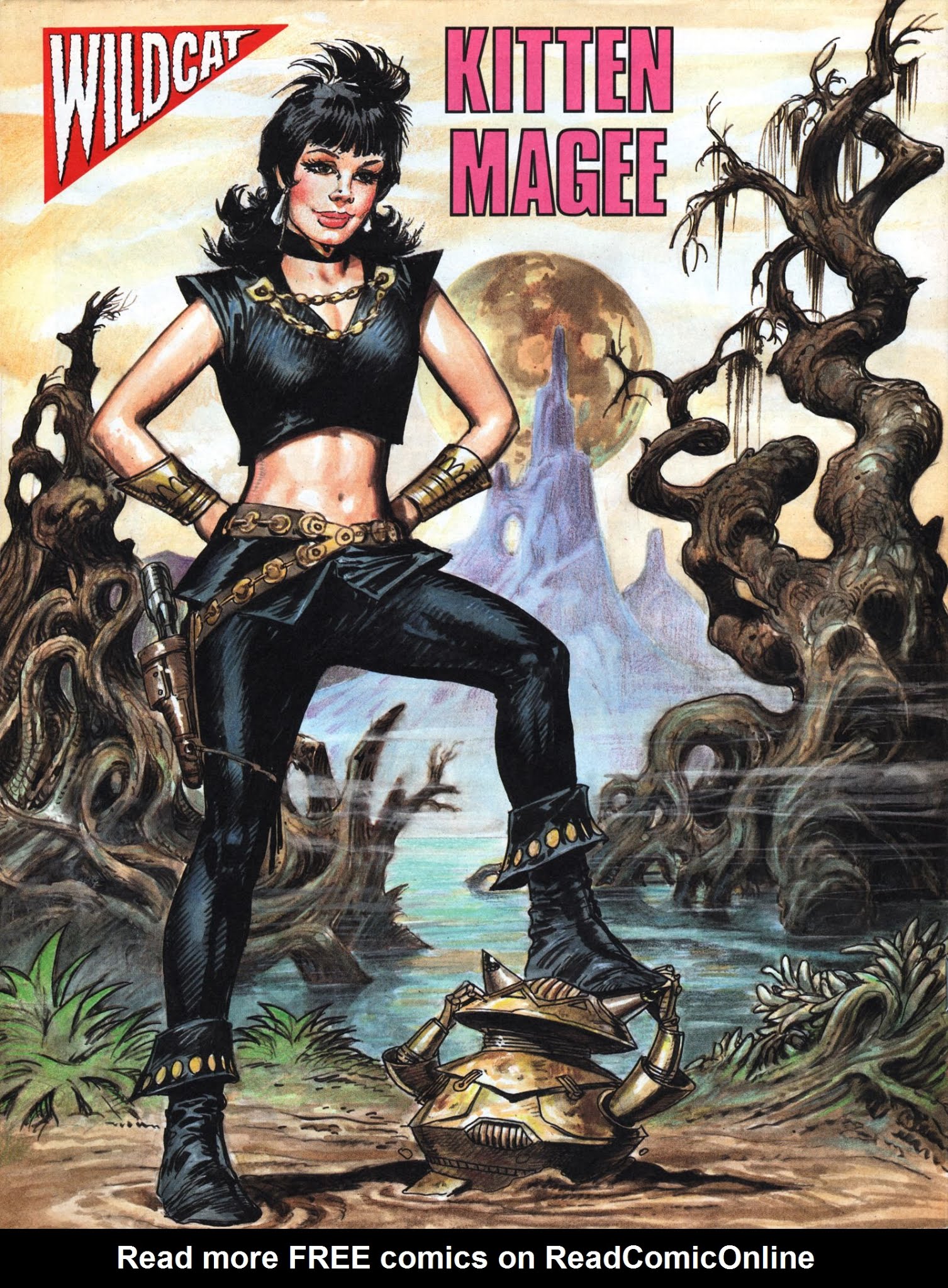 Read online Wildcat comic -  Issue #1 - 32