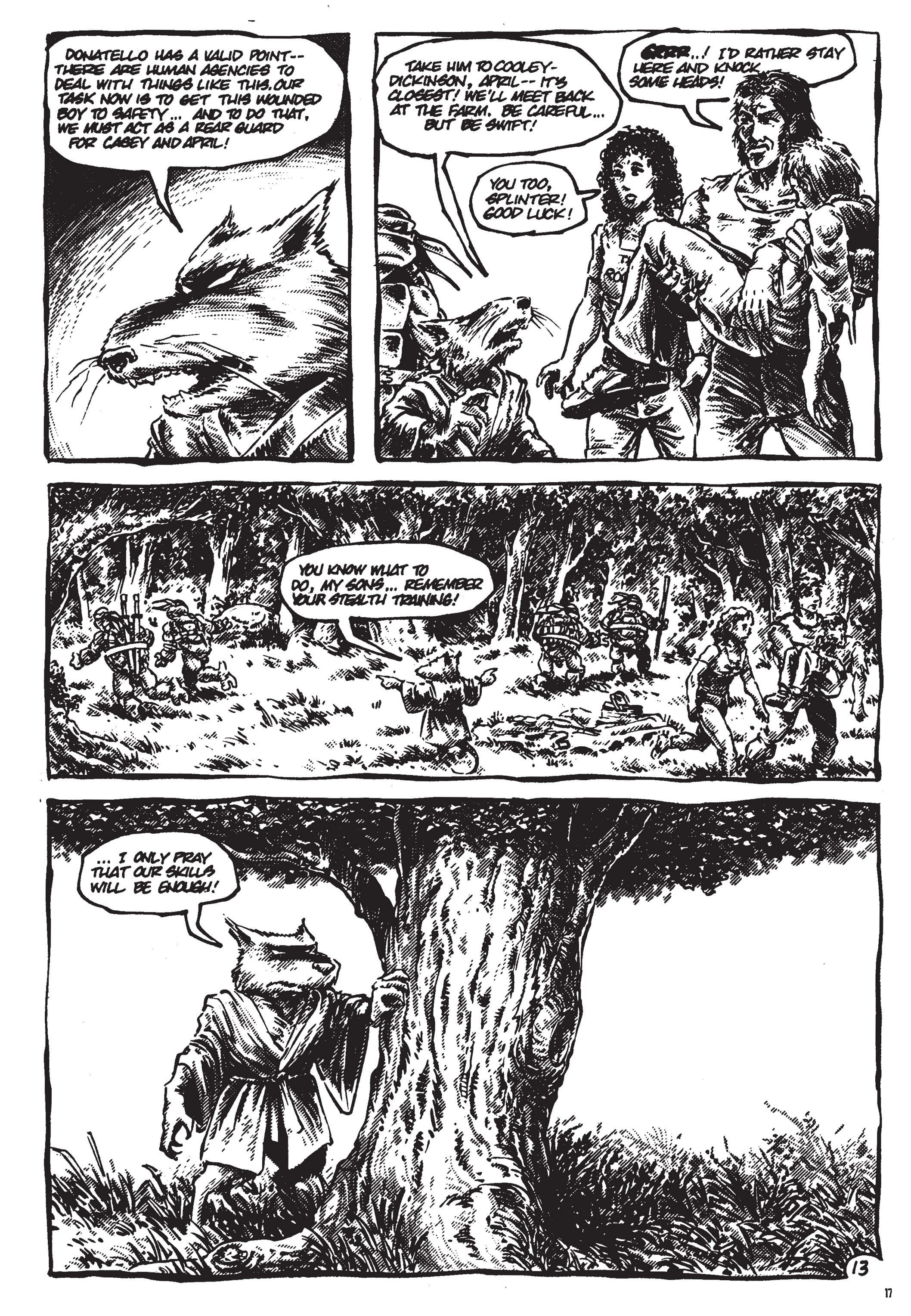 Read online Teenage Mutant Ninja Turtles: The Ultimate Collection comic -  Issue # TPB 3 (Part 1) - 16