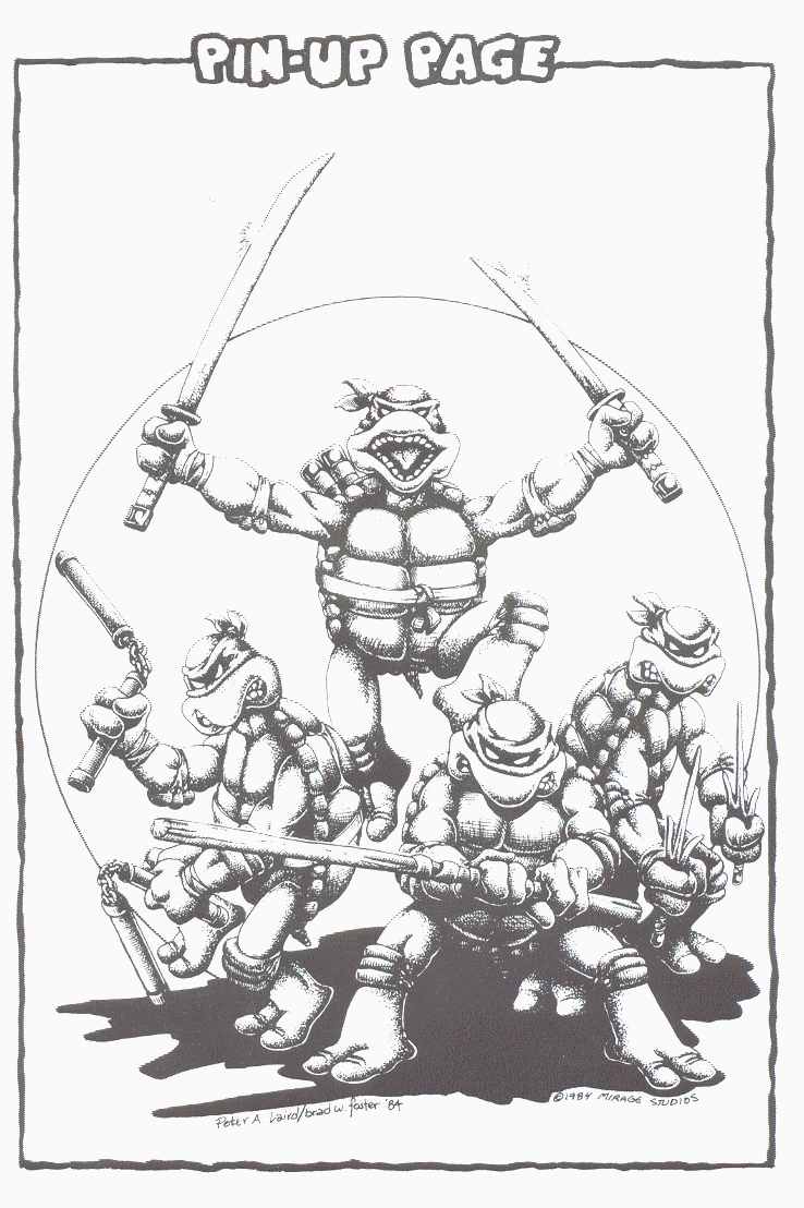Teenage Mutant Ninja Turtles (1984) Issue #2 #2 - English 42