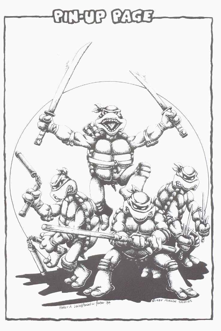 Read online Teenage Mutant Ninja Turtles (1984) comic -  Issue #2 - 42