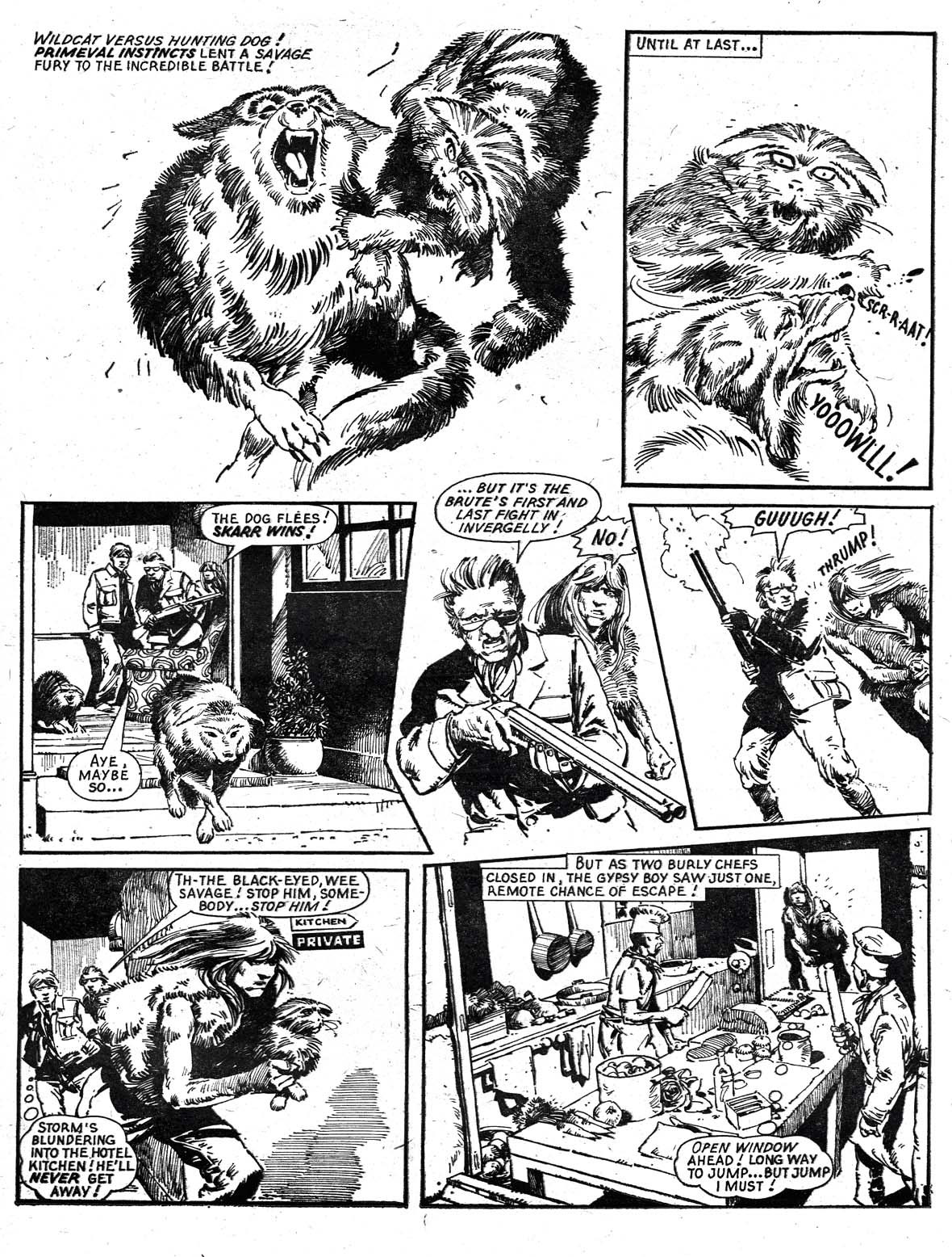 Read online Tornado comic -  Issue #11 - 23