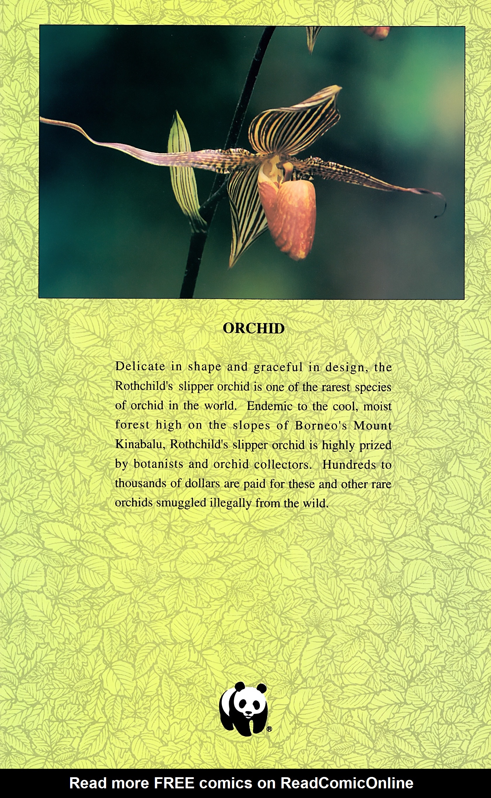 Read online Wolverine: Global Jeopardy comic -  Issue # Full - 23