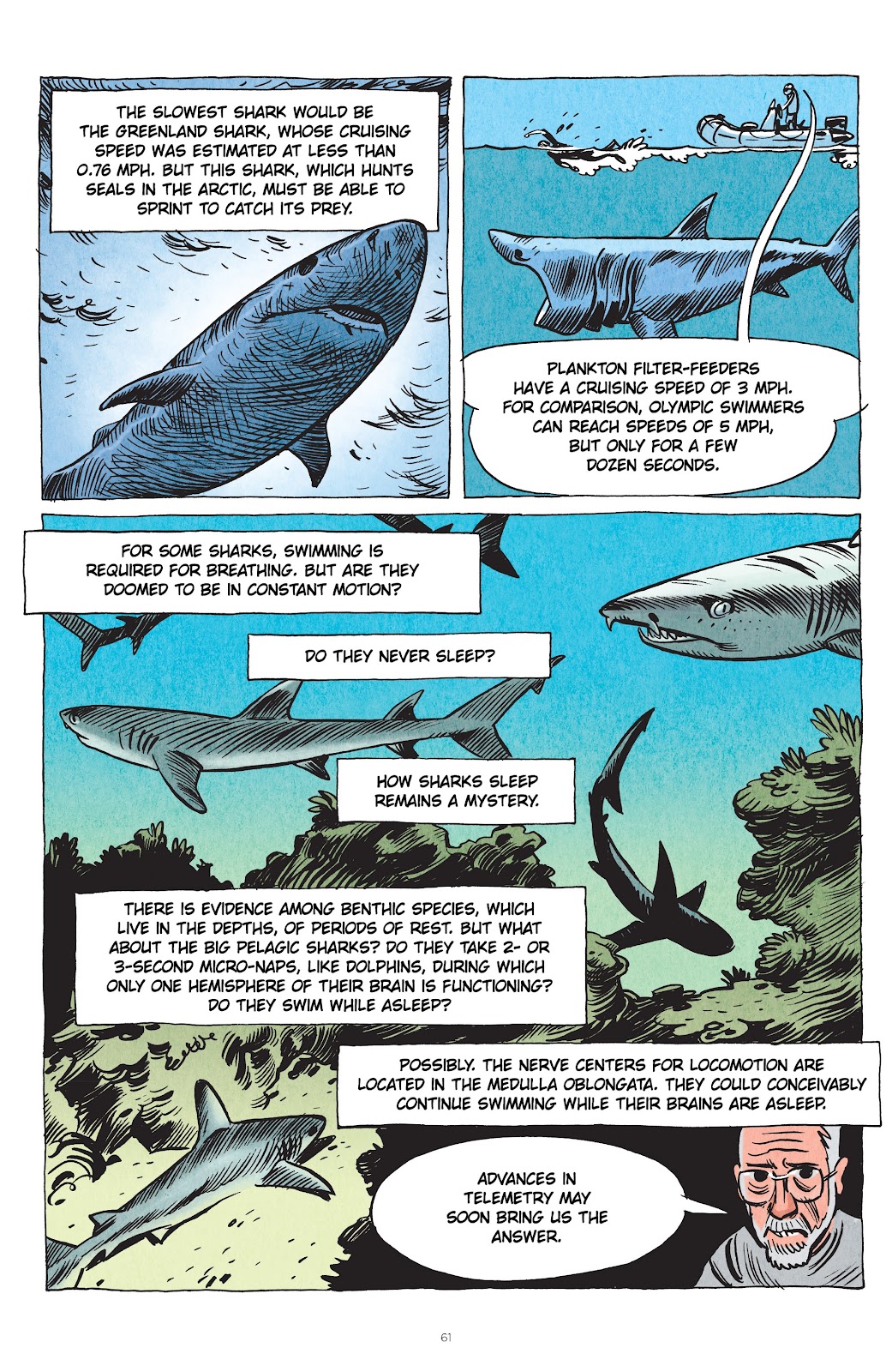 Little Book of Knowledge: Sharks issue TPB - Page 61
