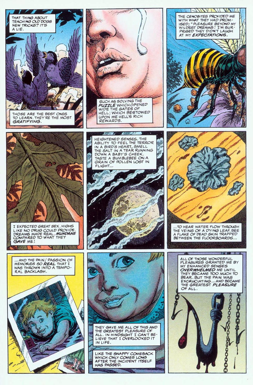 Read online Clive Barker's Hellraiser (1989) comic -  Issue #12 - 7