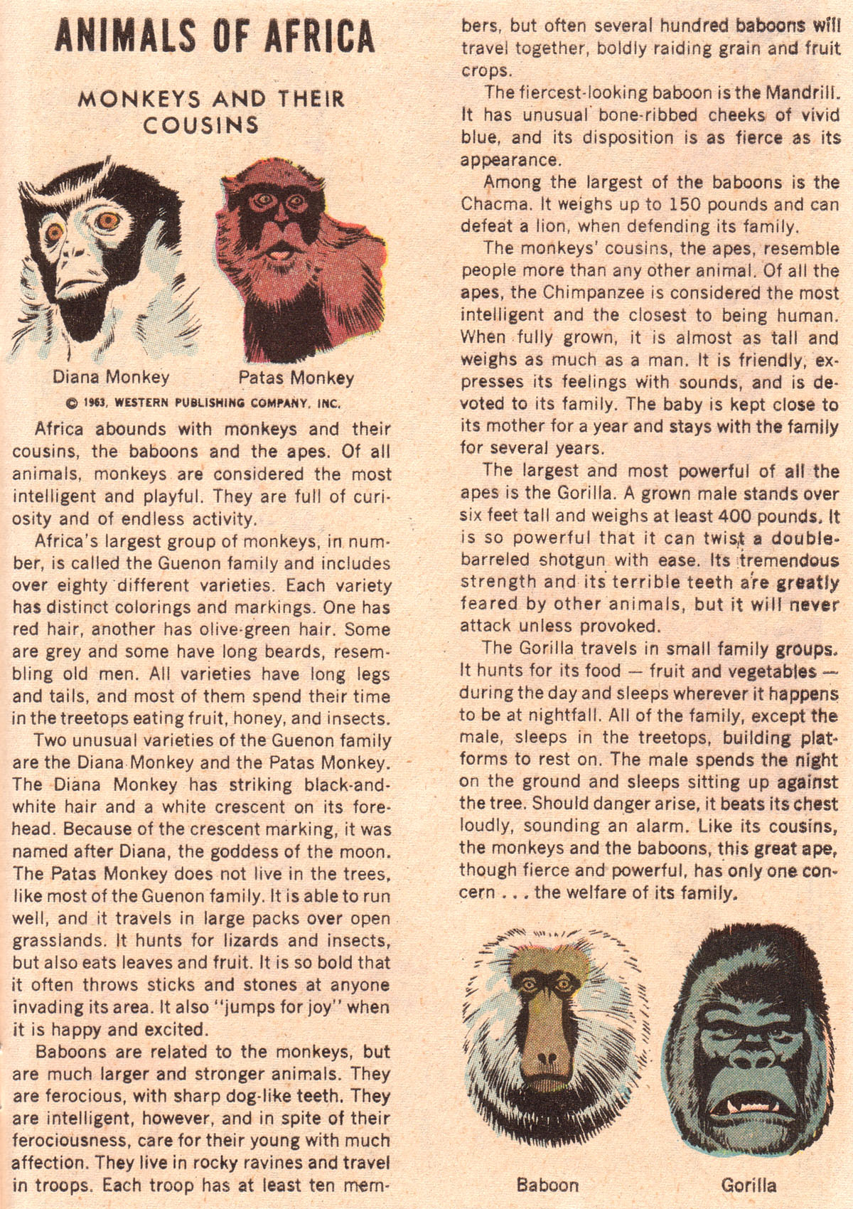 Read online Korak, Son of Tarzan (1964) comic -  Issue #40 - 33