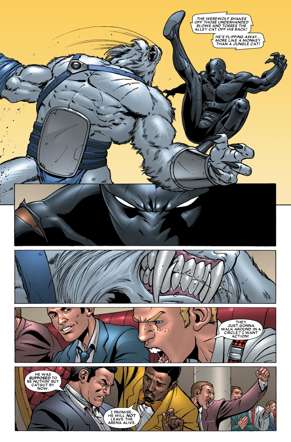 Black Panther (2005) issue 33 - Page 17